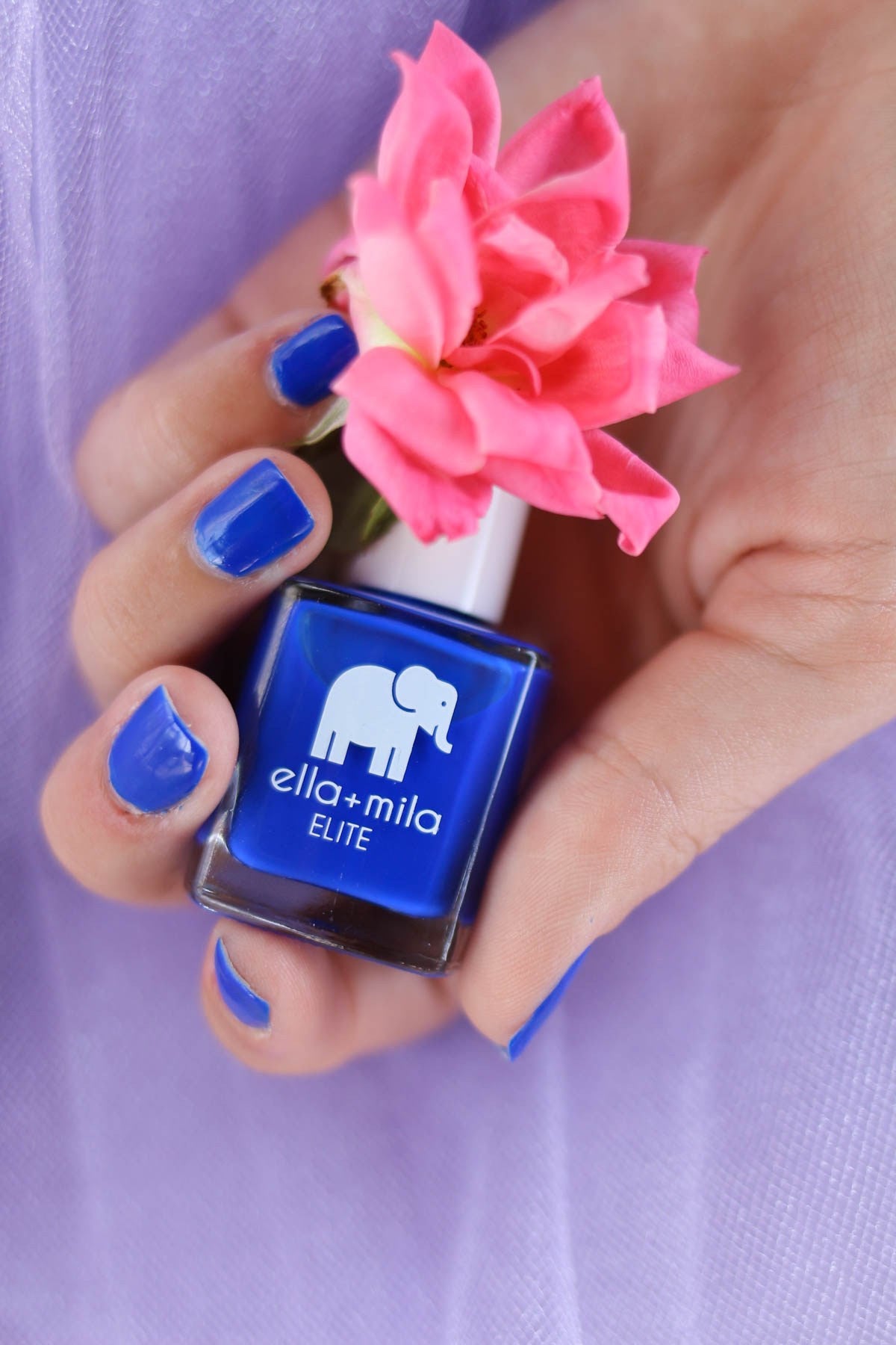 Once a Ballerina, Always a Ballerina