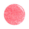 Rose Burst