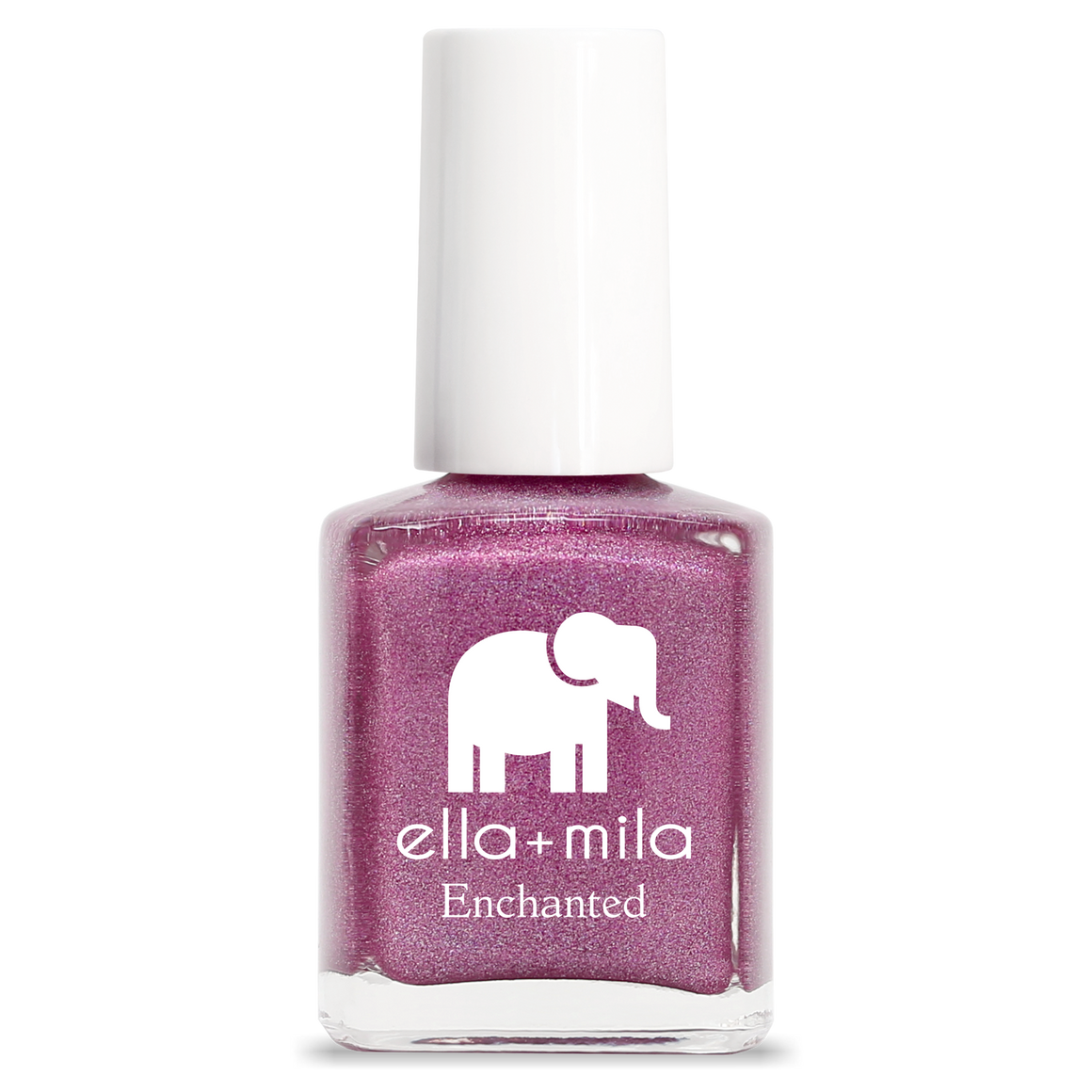 2024 Winter Collection